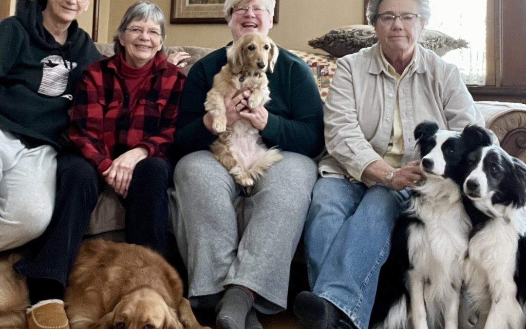 Sven Saw Sister Sleepover