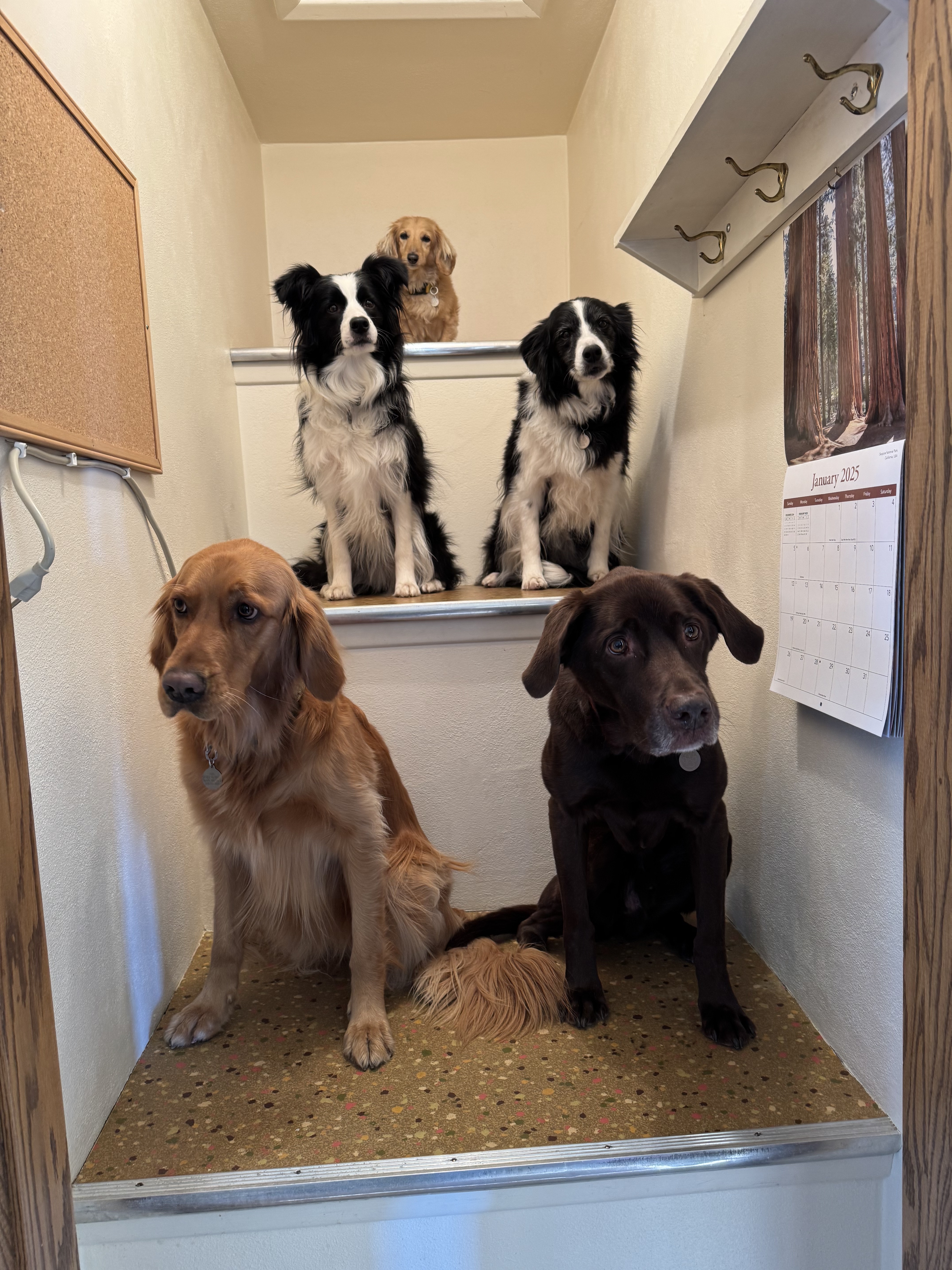 Hanging Out at Harvey