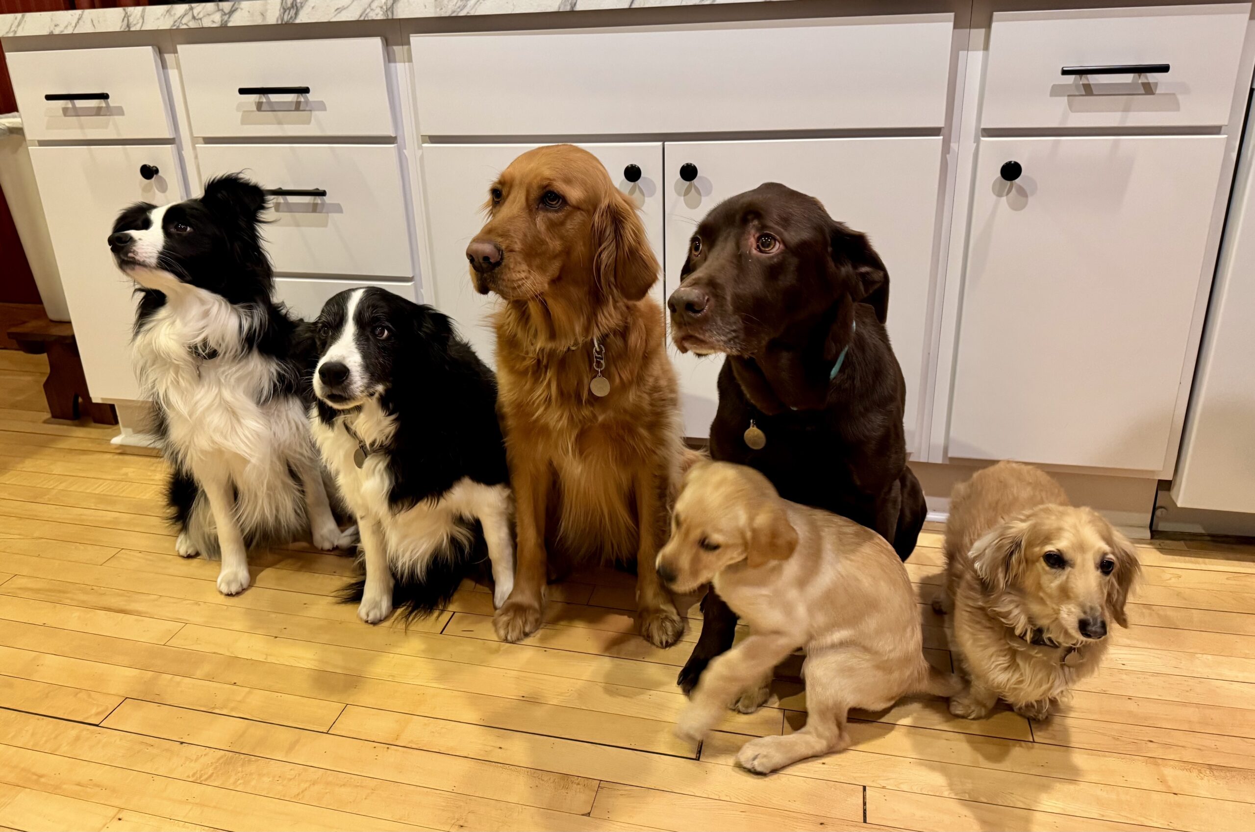 Treat Making at 5th Street