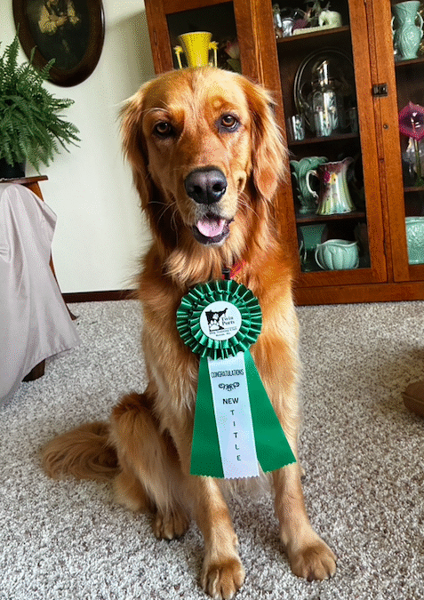 First Title – Rally